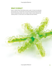 Load image into Gallery viewer, Recycled Science: Bring Out Your Science Genius