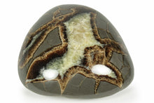 Load image into Gallery viewer, Septarian