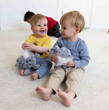 Load image into Gallery viewer, Celestial Buddies - Comet