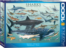 Load image into Gallery viewer, Sharks 1000-Piece Puzzle
