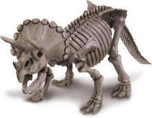 Load image into Gallery viewer, 4M KidzLabs Dig a Dinosaur Skeleton - Triceratops
