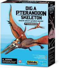 Load image into Gallery viewer, 4M KidzLabs Dig a Dinosaur Skeleton - Pteranodon