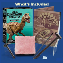 Load image into Gallery viewer, 4M KidzLabs Dig a Dinosaur Skeleton - Velociraptor