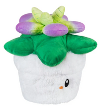 Load image into Gallery viewer, Mini Squishable Succulent ***RETIRING - LAST CHANCE! WILL NOT BE RESTOCKED***