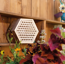 Load image into Gallery viewer, Beetle & Bee Garden Solitary Bee Habitat