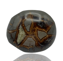 Load image into Gallery viewer, Septarian