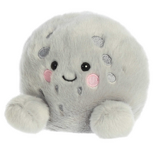 Load image into Gallery viewer, Aurora Palm Pals - 5" Celene Moon