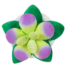 Load image into Gallery viewer, Mini Squishable Succulent ***RETIRING - LAST CHANCE! WILL NOT BE RESTOCKED***