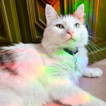 Load image into Gallery viewer, Alien UFO Suncatcher Cling