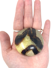 Load image into Gallery viewer, Septarian