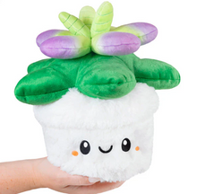 Load image into Gallery viewer, Mini Squishable Succulent ***RETIRING - LAST CHANCE! WILL NOT BE RESTOCKED***