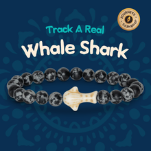 Load image into Gallery viewer, Fahlo Whale Shark Bracelet - Track a Real Whale Shark - Choose Your Style