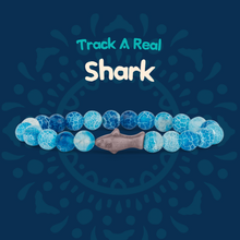 Load image into Gallery viewer, Fahlo Shark Bracelet - Track a Real Shark - Choose Your Style