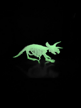 Load image into Gallery viewer, Glow In the Dark Dinosaur Skeleton Model