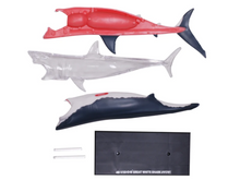 Load image into Gallery viewer, 4D Vision Great White Shark Model Kit