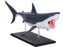 Load image into Gallery viewer, 4D Vision Great White Shark Model Kit