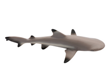 Load image into Gallery viewer, Blacktip Reef Shark Toy - Safari Ltd
