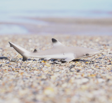 Load image into Gallery viewer, Blacktip Reef Shark Toy - Safari Ltd