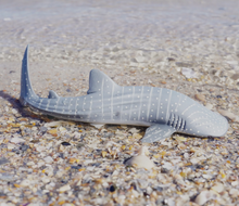 Load image into Gallery viewer, Whale Shark Toy - Safari Ltd