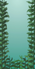 Load image into Gallery viewer, Sea Life Notepad
