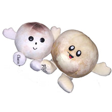Load image into Gallery viewer, Celestial Buddies - Pluto &amp; Charon
