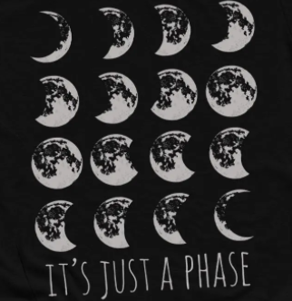 Adult It's Just A Phase T-Shirt - Black