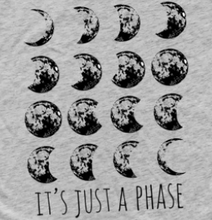 Load image into Gallery viewer, Youth It&#39;s Just a Phase T-Shirt - Gray
