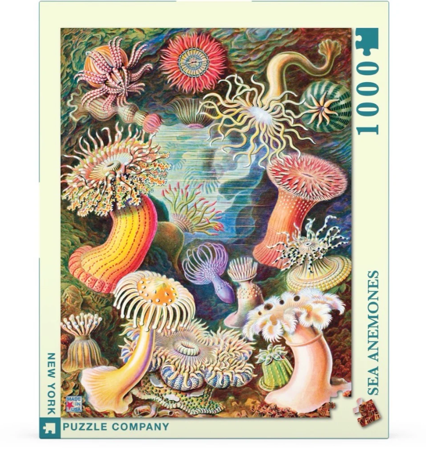 Sea Anemones 1,000 pc Puzzle