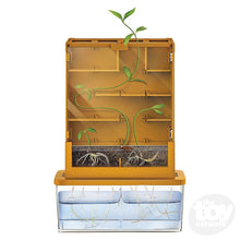 Load image into Gallery viewer, Green Science Grow-A-Maze
