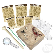 Load image into Gallery viewer, 4M KidzLabs Creepy Crawly Digging Kit

