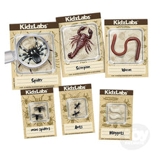 Load image into Gallery viewer, 4M KidzLabs Creepy Crawly Digging Kit
