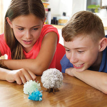 Load image into Gallery viewer, 4M KidzLabs Crystal Science
