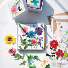 Load image into Gallery viewer, Green Creativity Pressed Flower Art

