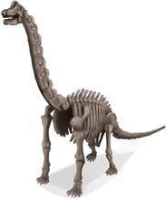 Load image into Gallery viewer, 4M KidzLabs Dig a Dinosaur Skeleton - Brachiosaurus
