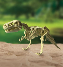 Load image into Gallery viewer, Smithsonian Dinosaur T-Rex "Fossil" Kit
