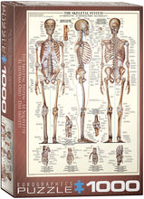 Load image into Gallery viewer, Skeletal System 1,000 Piece Puzzle
