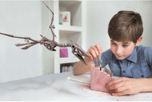 Load image into Gallery viewer, 4M KidzLabs Dig a Dinosaur Skeleton - Pteranodon

