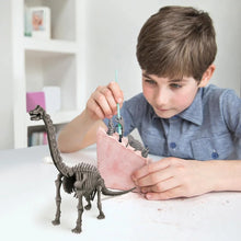 Load image into Gallery viewer, 4M KidzLabs Dig a Dinosaur Skeleton - Brachiosaurus

