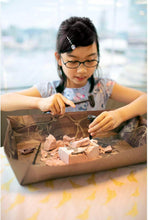 Load image into Gallery viewer, 4M KidzLabs Dig a Dinosaur Skeleton - Pteranodon
