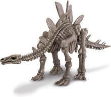 Load image into Gallery viewer, 4M KidzLabs Dig a Dinosaur Skeleton - Stegosaurus
