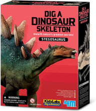 Load image into Gallery viewer, 4M KidzLabs Dig a Dinosaur Skeleton - Stegosaurus
