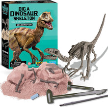 Load image into Gallery viewer, 4M KidzLabs Dig a Dinosaur Skeleton - Velociraptor
