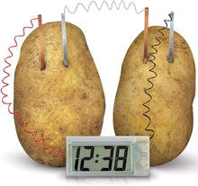 Load image into Gallery viewer, Green Science Potato Clock
