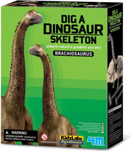 Load image into Gallery viewer, 4M KidzLabs Dig a Dinosaur Skeleton - Brachiosaurus
