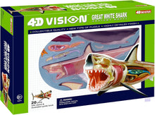 Load image into Gallery viewer, 4D Vision Great White Shark Model Kit
