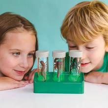 Load image into Gallery viewer, 4M Kidzlabs Glow Critter Lab
