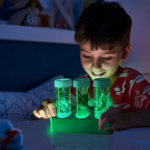 Load image into Gallery viewer, 4M Kidzlabs Glow Critter Lab
