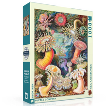 Load image into Gallery viewer, Sea Anemones 1,000 pc Puzzle
