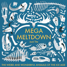 Load image into Gallery viewer, Mega Meltdown: The Weird and Wonderful Animals of the Ice Age
