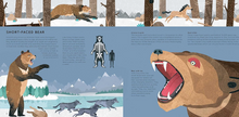 Load image into Gallery viewer, Mega Meltdown: The Weird and Wonderful Animals of the Ice Age
